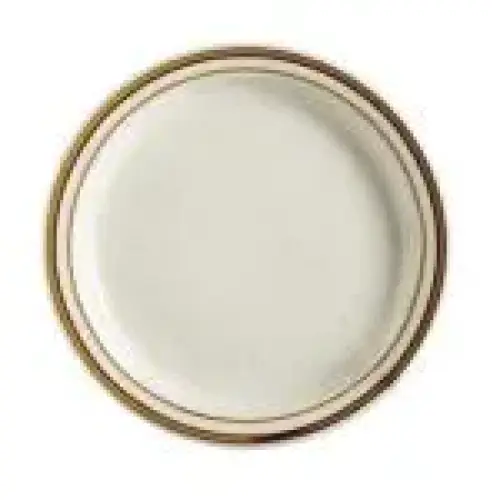 C.A.C. China AZ-9 - Arizona Dinner Plate 9-3/4" - (2 Dozen per Case)