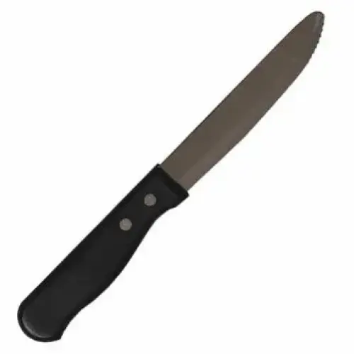 Update International BB-14P Steak Knife 9.75" x 2.4" x 2.4"