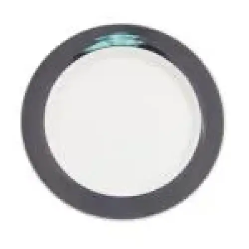 C.A.C. China R-8-BLK - Rainbow Plate 9" - (2 Dozen per Case)