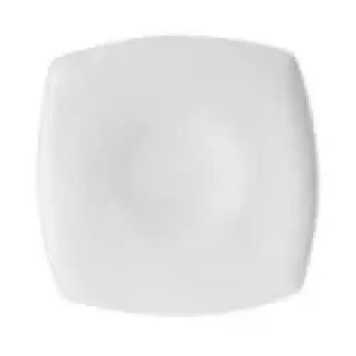 C.A.C. China RCN-FS21 - Clinton Plate 11-7/8" - (1 Dozen per Case)